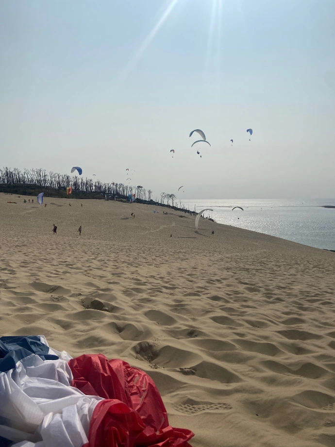 Gleitschirme an der Dune du Pyla